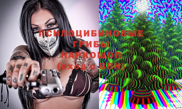твердый Алексин