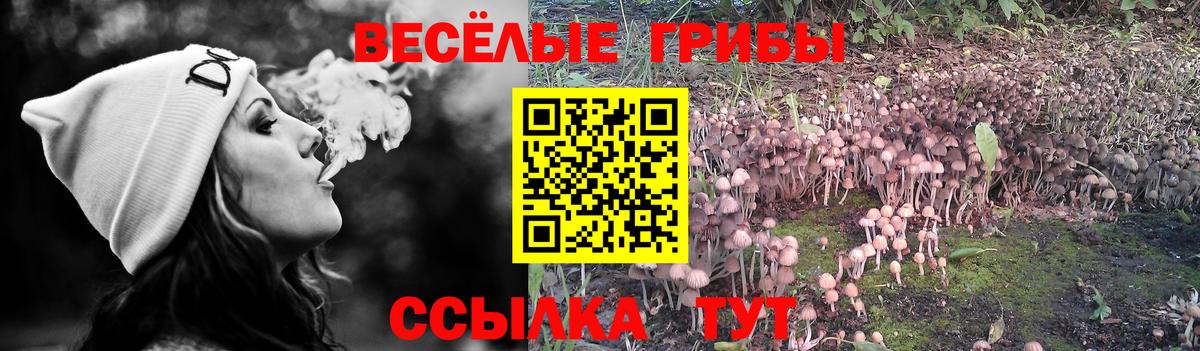 Галлюциногенные грибы GOLDEN TEACHER  Вход с VPN  Югорск 