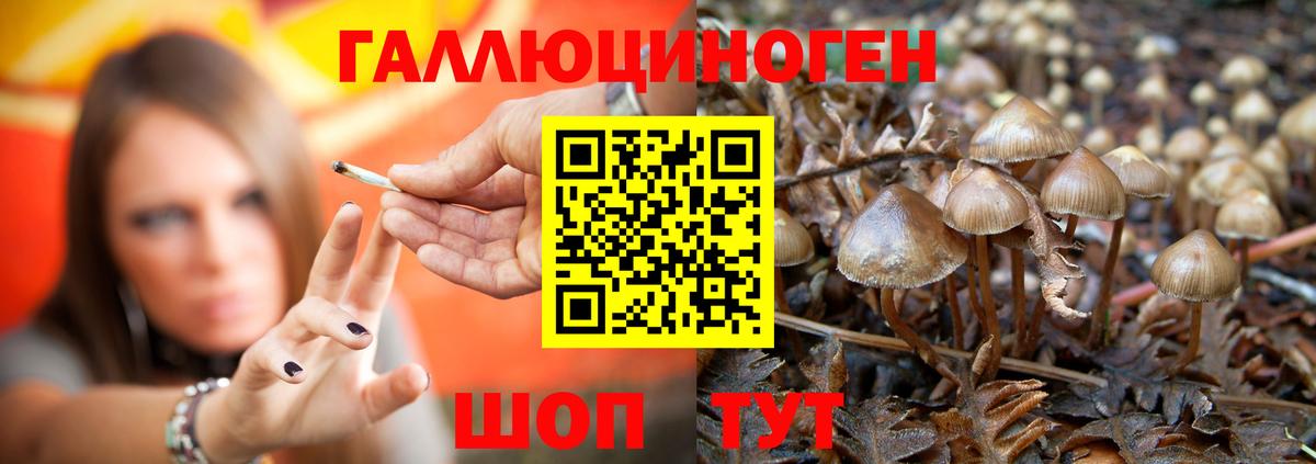 Псилоцибиновые грибы мицелий Югорск